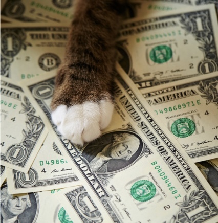 養貓自我經濟評估